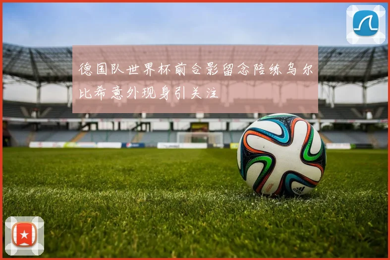 德国队世界杯前合影留念陪练乌尔比希意外现身引关注