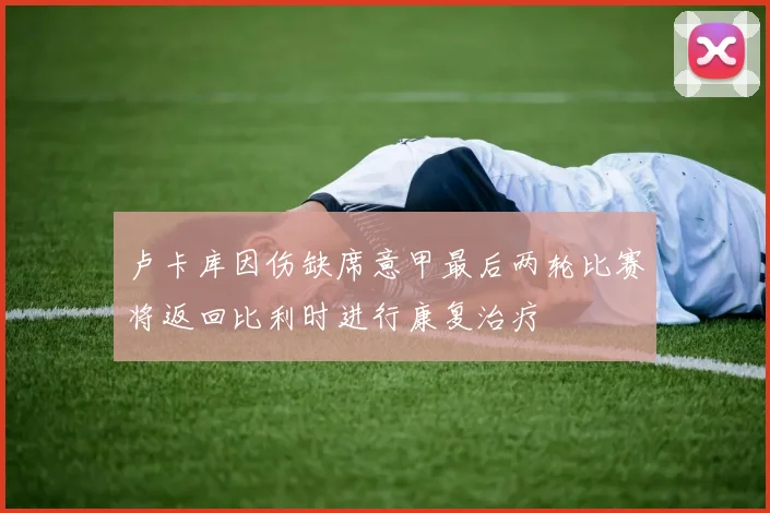 卢卡库因伤缺席意甲最后两轮比赛将返回比利时进行康复治疗